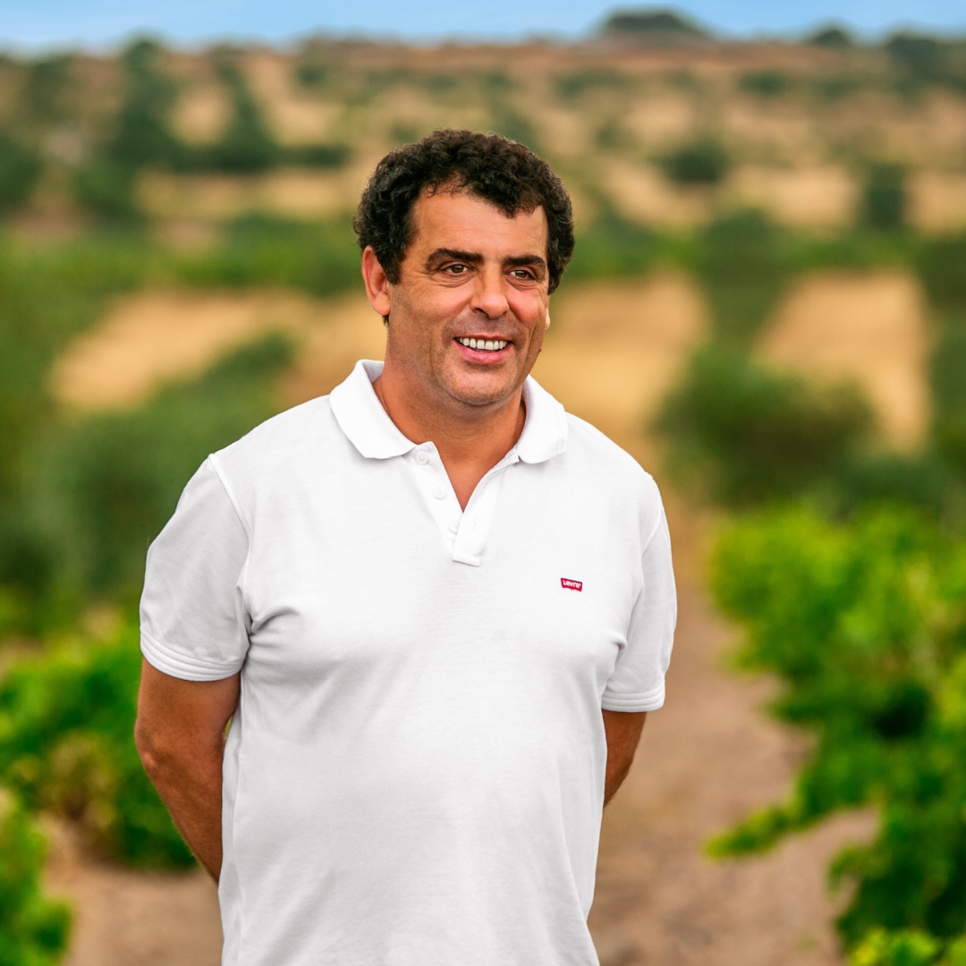 Artisan_Wines's tweet photo. Semaphore 7 is made in the Alentejo region of  Portugal. Winemaker, José Piteira has been working in the region for more than 25 years. Born and raised in Alentejo, wine was always his passion. 
https://t.co/ieY7f1a7mg https://t.co/opI9dzAkg7