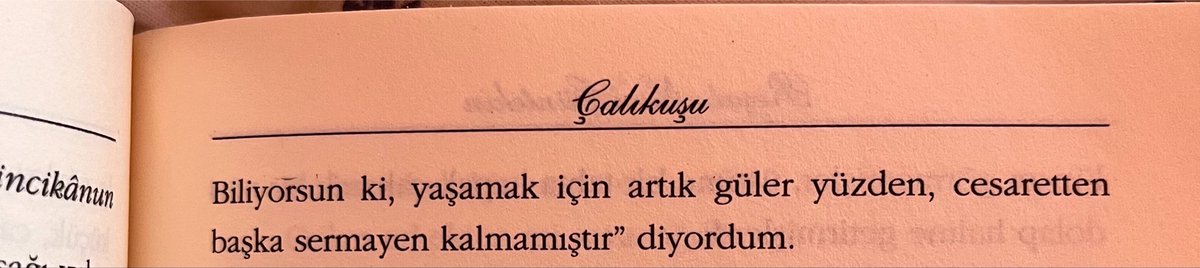 unutvera's tweet photo. Ah Feride..🫂❤️ https://t.co/xiDNdtqA4Z