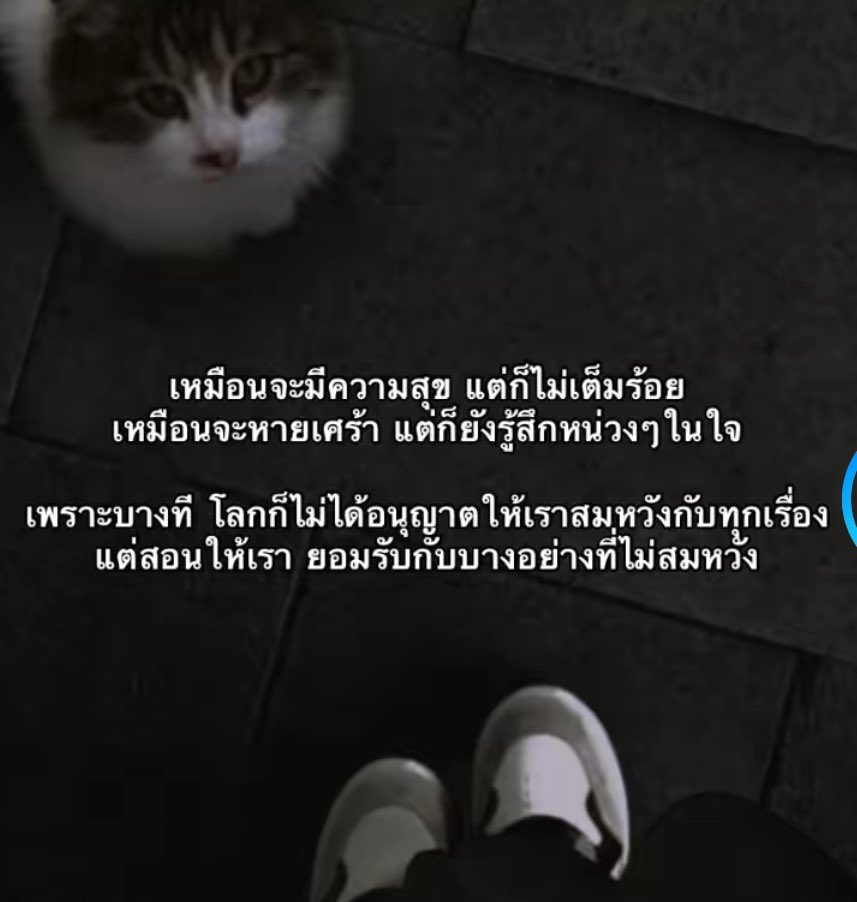 TTTaarr123's tweet photo. https://t.co/rpfhSPR60d