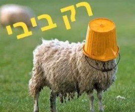 lewscypher's tweet photo. @mr_james_cook @AdirThereal @chaimlevinson אתה מנסה להכניס היגיון בסבון אמיתי. לא סתם בבון של סטיגמה.
מדובר באחד אמיתי בבון כזה שיזרוק לבנים על מערכת חדשות כי תחזית מזג האוויר שלהם לא מצאה חן בעיניו.

בבון כזה: https://t.co/ZyVDF2zdS8
