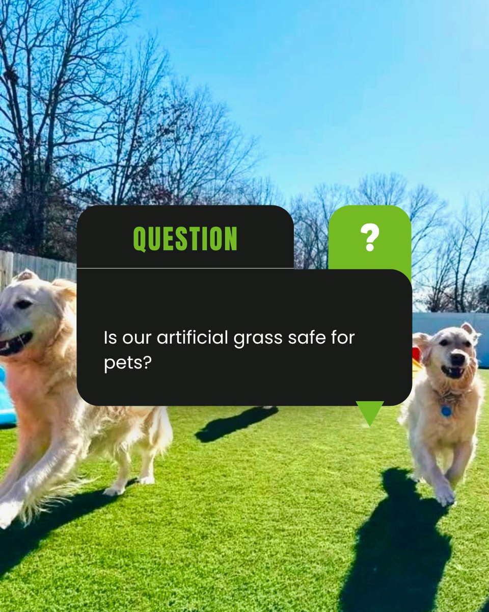 Turfetc's tweet photo. Pets spend just as much time in the backyard as we do. That's why choosing the right surface matters.

#SYNLawn #petfriendly #petowners #backyard #lawn https://t.co/NA6imOogL0