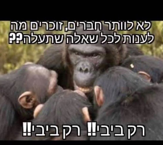 lewscypher's tweet photo. @mr_james_cook @AdirThereal @chaimlevinson אתה מנסה להכניס היגיון בסבון אמיתי. לא סתם בבון של סטיגמה.
מדובר באחד אמיתי בבון כזה שיזרוק לבנים על מערכת חדשות כי תחזית מזג האוויר שלהם לא מצאה חן בעיניו.

בבון כזה: https://t.co/ZyVDF2zdS8