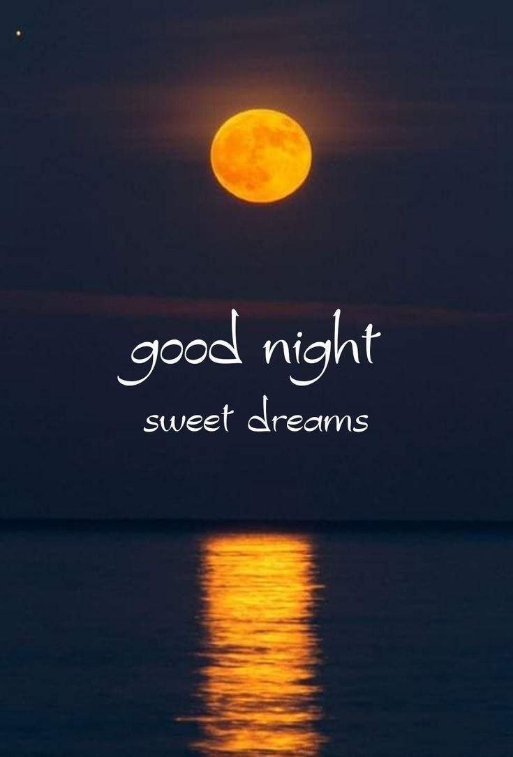 Modibhakt2026's tweet photo. Good night dear X friends 💤 

यार मुझे तो रात को ये सोचकर भी नींद नही आती की.....

.

.

पता नही मेरी वाली खाना बनाना सीख रही होगी या वो भी मुझसे बनवाएगी .....!!!!! https://t.co/dkO2hjMY15