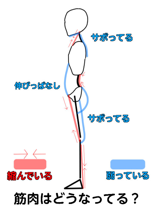 NakayosiHitori's tweet photo. “股関節の筋肉がお尻や腰に影響を与える”図解と
紹介されている動作の一部を寝ながらやる方法を置いておきます。

身体を捻るストレッチは、横になったままできるので、疲れて身体を動かすのが億劫、って時にもできるのでオススメです✨ https://t.co/vSMAMQx9eP