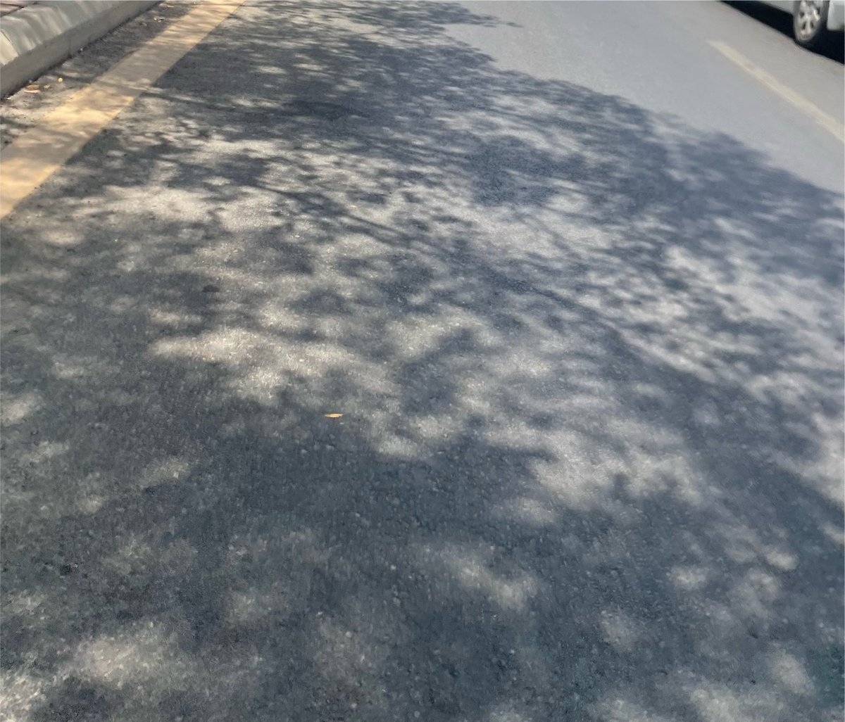 Jeddah_Project's tweet photo. لمثل هذا الصيف وهذه الأجواء الحارة نطالب بالتشجير 🌳 

 الهدف ان تكون مدينة جدة ١٠٠٪ تشجير ، ولكن أمانة جدة فشلت بتحقيق هذا الشيء حتى الان https://t.co/0G0WlrmIaP
