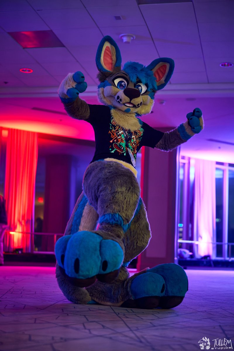 Kangazeroo's tweet photo. Dance dance roo pt2

📸: @tullembrat
🪡🧵: @WildFoxWorks https://t.co/7RMecUDc4l