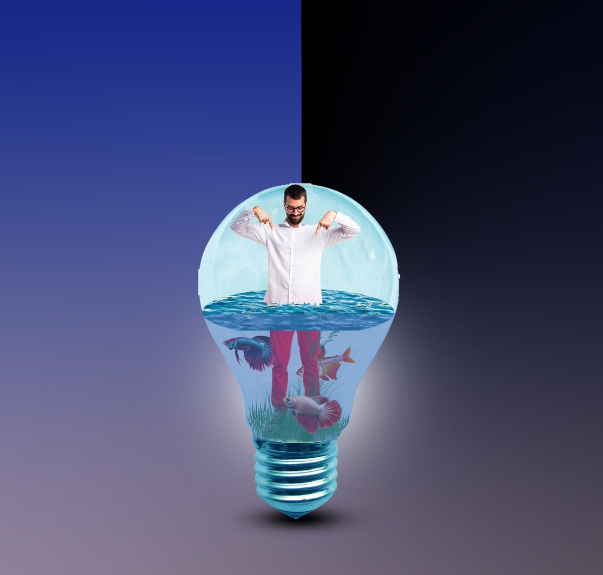 PRANTOSAHA9xzf's tweet photo. New idea 💡 design your 
social posts 
Business branding 
Marketing posters 

#graphicsdesign #LaCasaDeLosFamososMéxico #FelizMiércoles #Perú  #eidevinlópez https://t.co/kJbOqLwjba