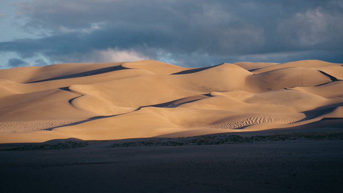 beauzachowski's tweet photo. A bizarre adventure begins where the road ends 🏜️🐪 https://t.co/5PQWVYyPlj