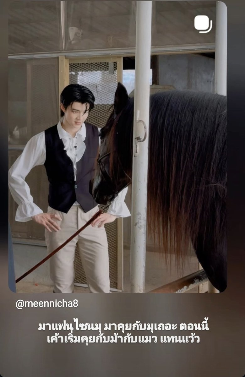 SSHtay7uay's tweet photo. မြင်းကိုကြည်နေတာနဲကြွေနေပီ
#CountDownToMEEN2ndFANSIGN
#Meennicha8 https://t.co/zh6nB7bgNj