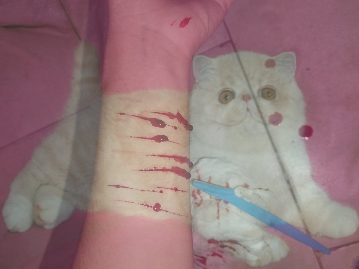 offlinesouul's tweet photo. Mini styro! ˃ 𖥦 ˂ 
ALL FAKE, TESTING SFX MAKEUP PROSTHETICS! FAKE BLOOD, SFX MAKEUP, NOBODY WAS HARMED, ENHANCED WITH AI!! ALL SFX!
#slittwt #shtwt #shedtwt #988twt #goretwt https://t.co/KNfCzF6e4i