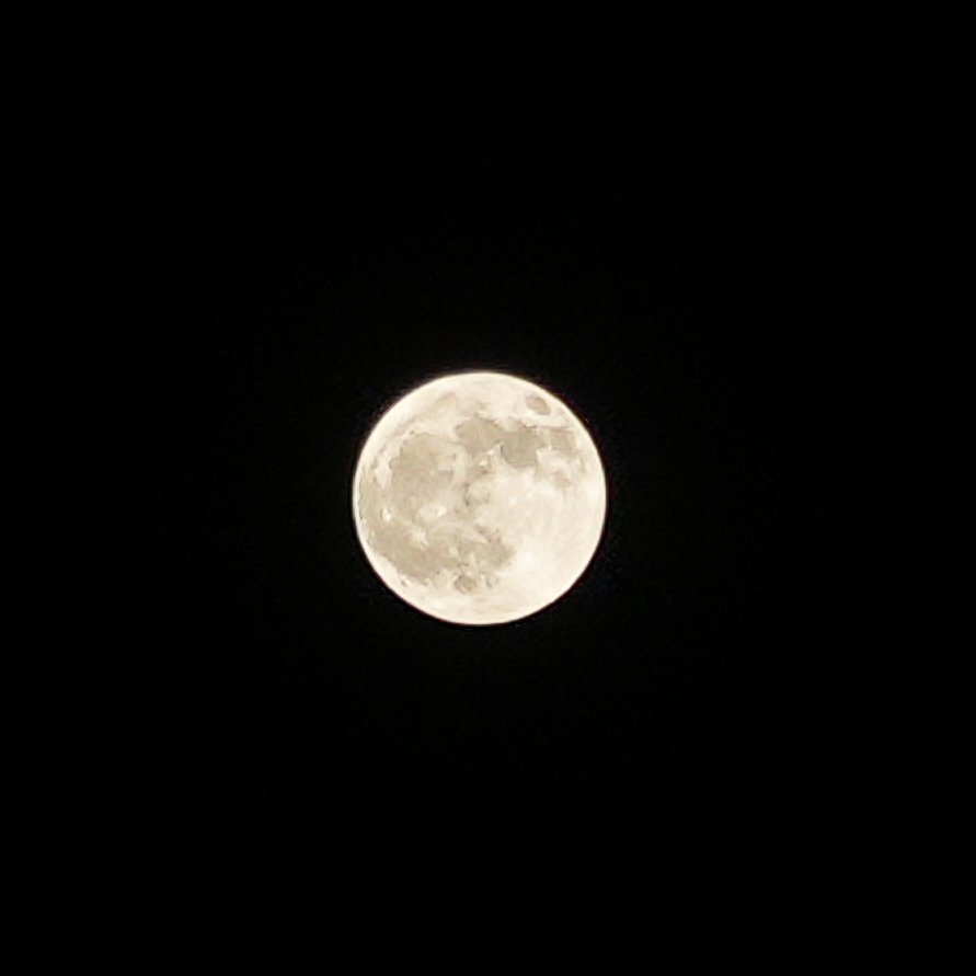 spaceguy_24's tweet photo. Tonight's Full Moon, also known as the Buck Moon. 🌕 My first attempt at capturing the Moon with a camera. #FullMoon #BuckMoon #MoonHour https://t.co/rmZ6fwsY4I
