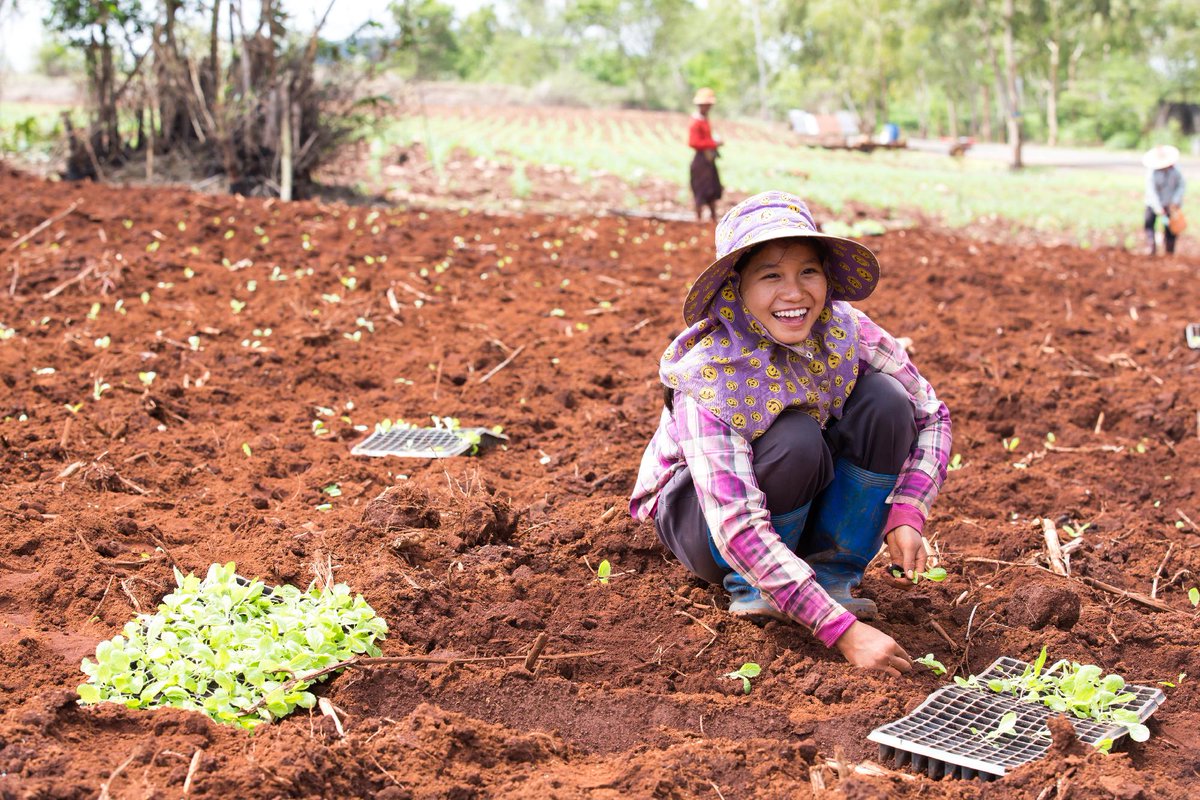 CGIAR tweet media