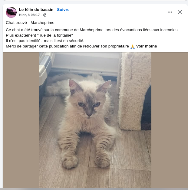 Loovenelle tweet picture