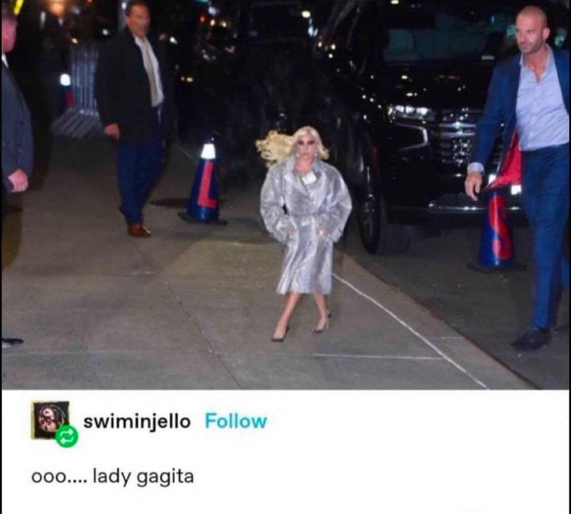HATESP1KE's tweet photo. @chuuuuwu_ es lady gagita... literalmente ella... https://t.co/IRHPE0lW43