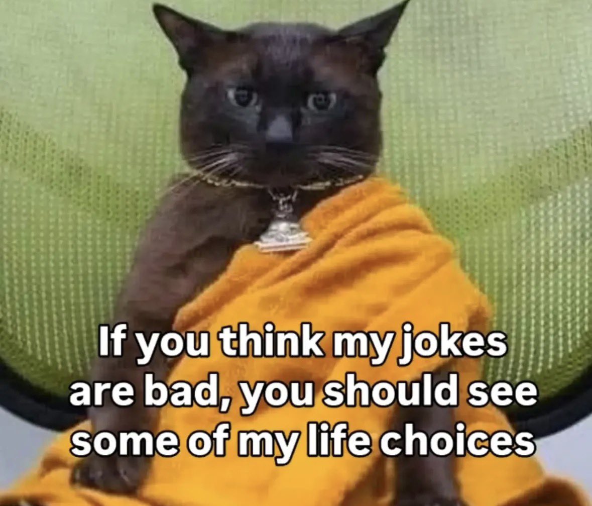 literallymecats's tweet photo. https://t.co/B82RrpXNYj