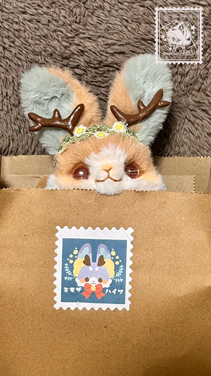 mur0w0mur's tweet photo. チラ…   ヒョコ………
#ミモザハイツ https://t.co/WGSwSZBGS7