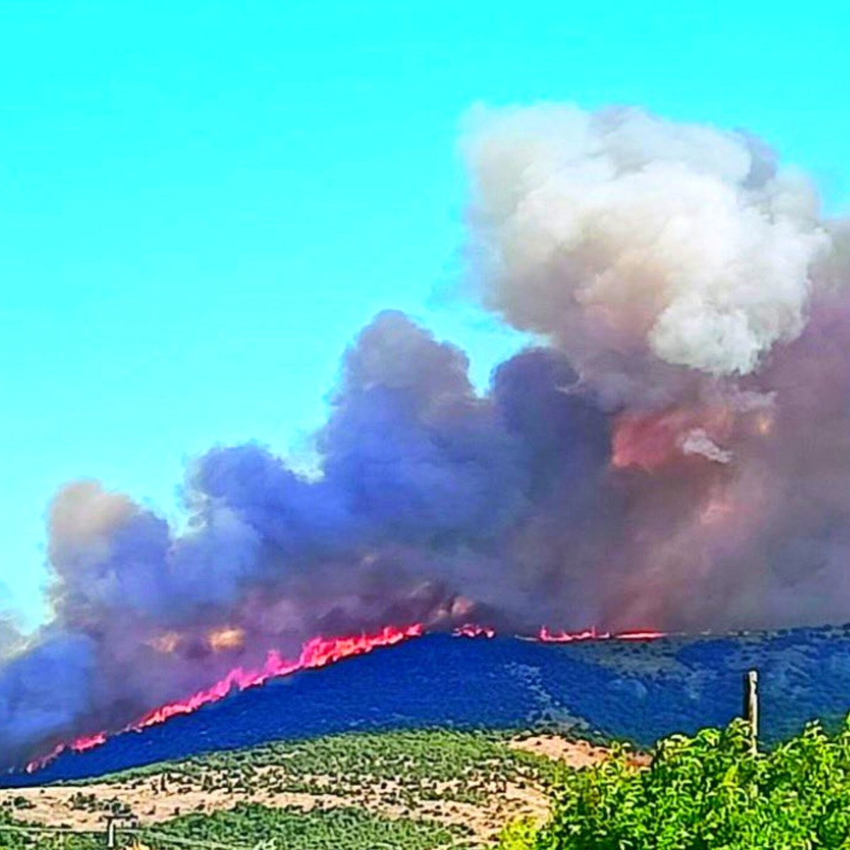 HavaForum's tweet photo. Çanakkale'de de orman yangını çıktı. https://t.co/xLNXZZmOdv