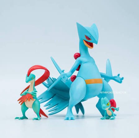 itz_mtray's tweet photo. @electri_kevin Basically anything teal and shiny Greninja and Charizard. https://t.co/VYduTp1Dr6
