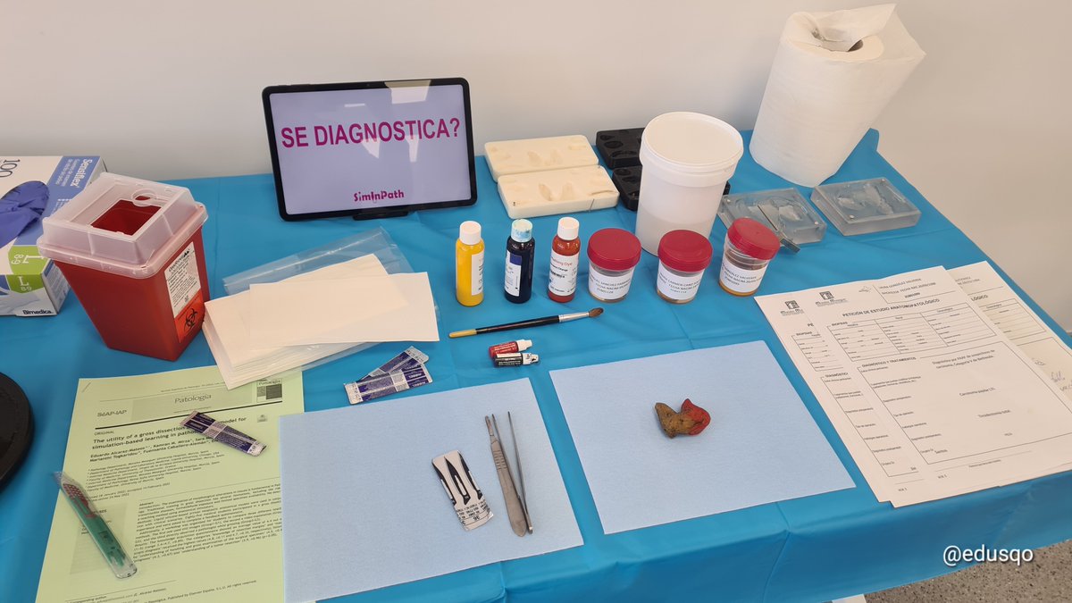 edusqo's tweet photo. Hoy, en la inauguración del Centro de Habilidades de @UMU Cirujana Doña Jamila hemos ido con todo: entrenamiento, simulación y seguridad del paciente con tecnología y métodología: #FioNA, modelos anatómicos y realidad virtual en #AnatomíaPatológica y metodología
#MedEd #SegPac https://t.co/Z3C32QaNzo