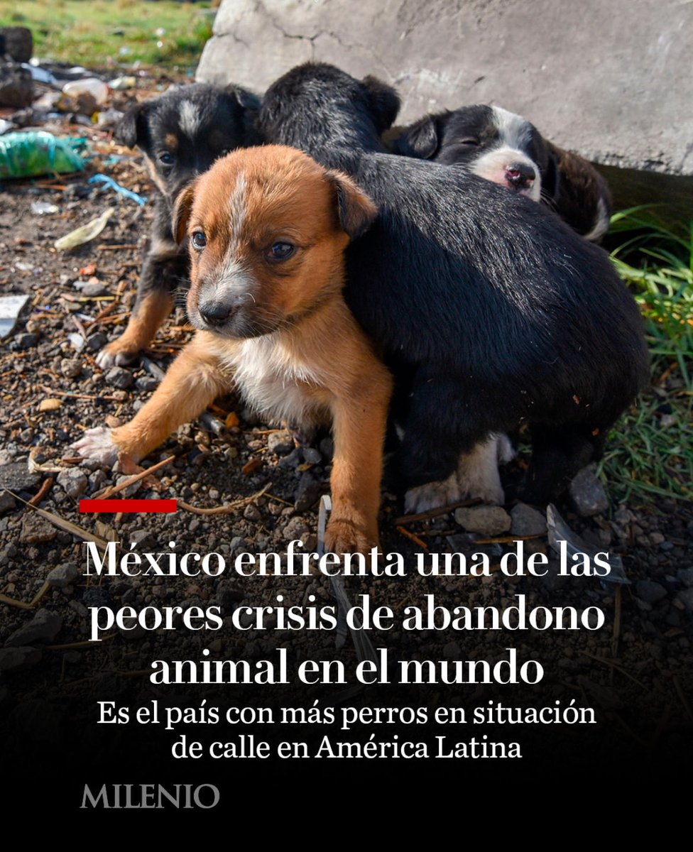 LosDeIxtapaluca's tweet photo. Y @AnaJVillagran desmantelando quirófanos móviles porque “no se mueven solos y no tienen energía eléctrica”. Hazme el perro favor. La ineptitud hecha persona. https://t.co/V15DMl80MR