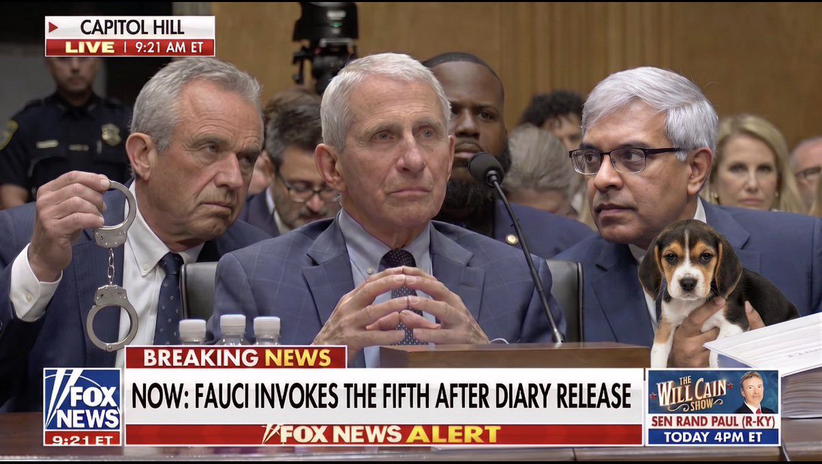 tomemmer's tweet photo. QUICK REMINDER: Fauci got paid just under 5 million dollars for his book deal selling his lies about COVID.

Today, he plead the Fifth REFUSING to give Americans the truth.

He got rich, while American schools, businesses, and lives got shut down.

What a joke! https://t.co/Gv7N2rrLt0