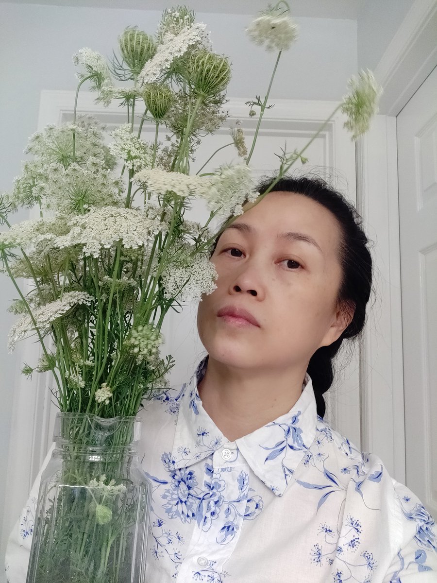 aimilidou2's tweet photo. The white of Queen Anne’s Lace is summer’s softest breath,is holding the quiet breeze of summer.
Its white blooms speak softly—gentle, calm, beautiful without trying.
Lace-like blossoms unfurl slowly in the light, carries a quiet strength—nature’s own gentle line of poetry. https://t.co/pbpRxKqnRi