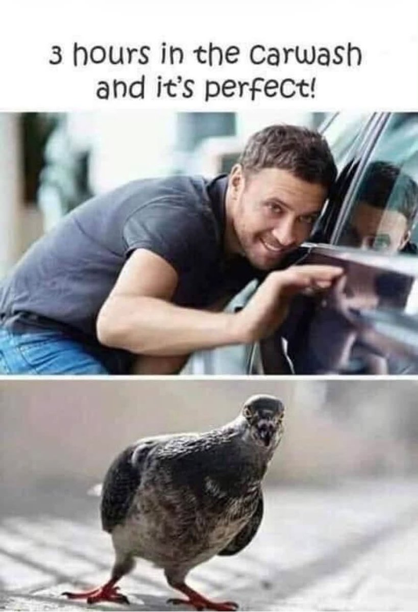 MemeShredder's tweet photo. 😆😆  #Meme / #DankMemes / #MemeOfTheDay / #Shitpost 😆😆 https://t.co/9mo0nB5f6g
