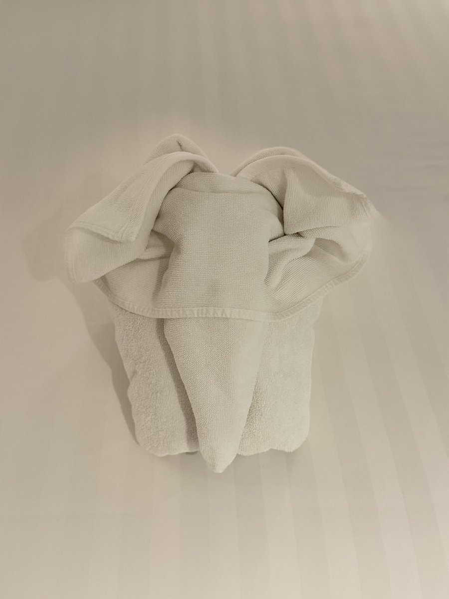 Tiffanyz0217's tweet photo. The hotel housekeeper folded this monkey for me after finding out I love monkey. No need to explain why I’m fond of monkey🙈🐒
#aangelinaass
#小猴子
#monkeyangel
#ChiangMai https://t.co/9CAHsiIJJ3