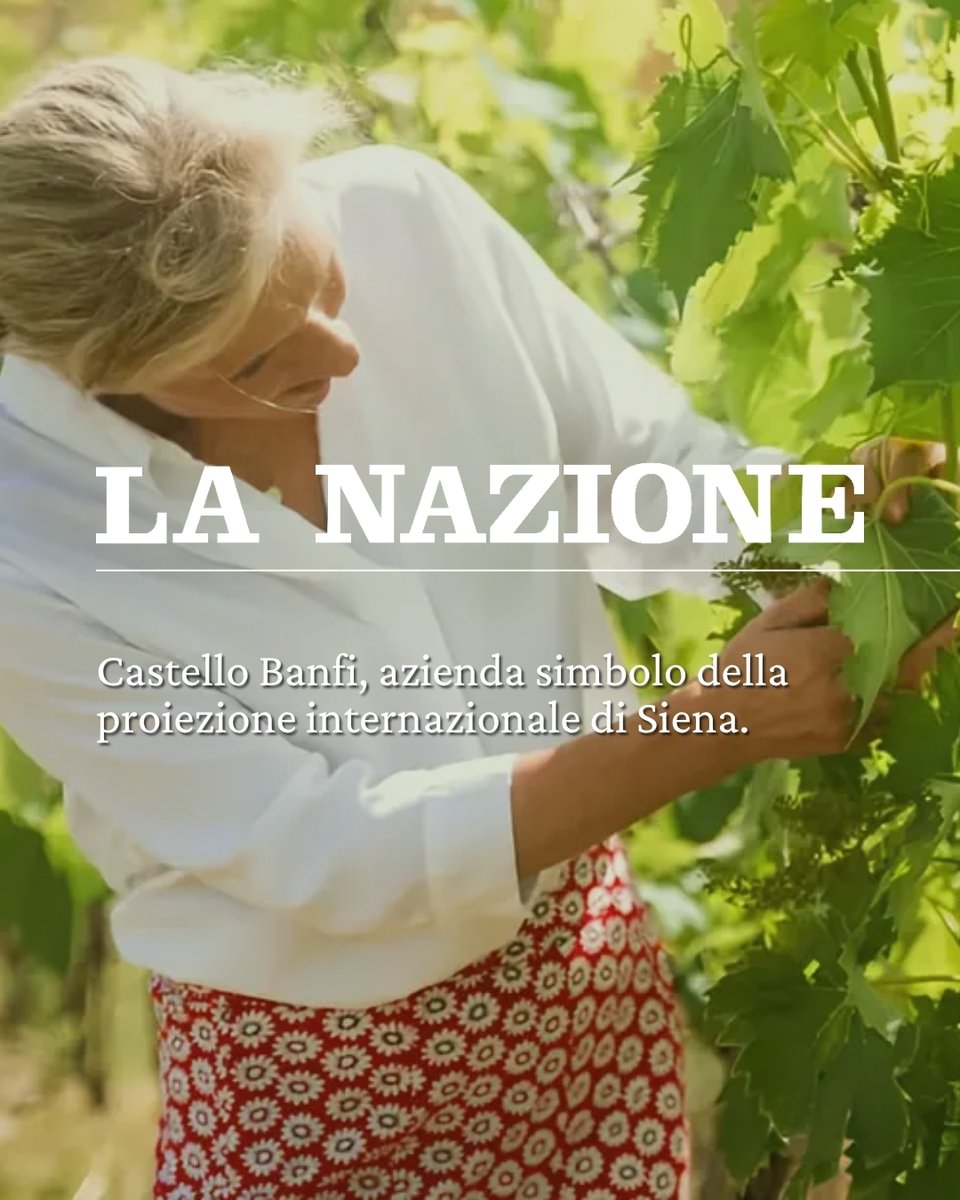 BanfiOfficial's tweet photo. Montalcino, vocazione internazionale dal 1978. Il quotidiano La Nazione racconta la visione di Banfi e della famiglia Mariani, capace di dare nuovo slancio al territorio e all’export.

https://t.co/497lhVhAws

#Banfi #Montalcino https://t.co/CngDK5no69