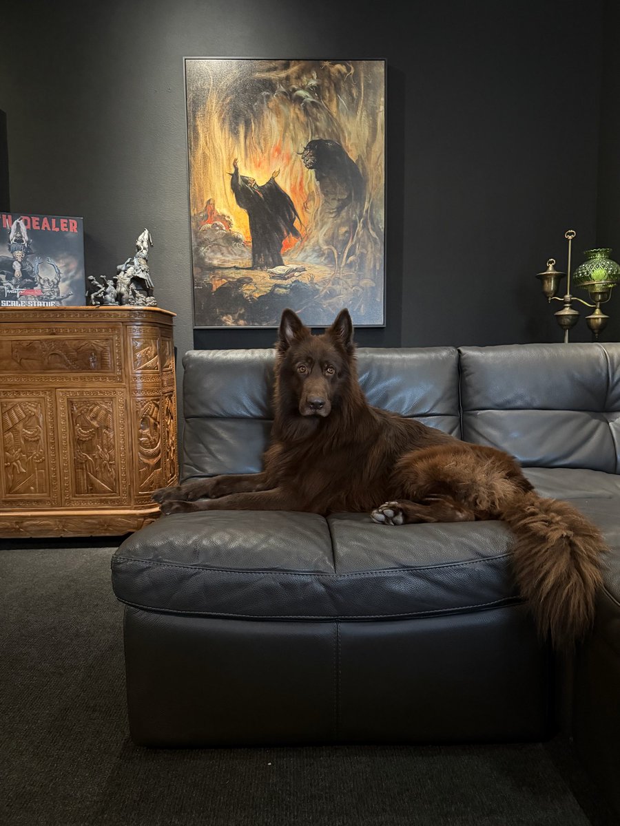 SaraFrazetta's tweet photo. @CrimsonPhiloso2 German Shepherds. Aghhhhhh my heart seeing this right now lol https://t.co/U2OvyINFcF