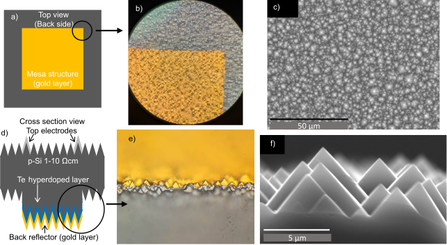 PhysRevLett's tweet photo. Te-hyperdoped silicon can achieve high-performance short-wave infrared photonics — even at room temperature — by using both surface texturing and a back reflector to boost sub-bandgap absorbance.

Read the paper: https://t.co/Ue42nbxNWK https://t.co/VRbzvPrXxE