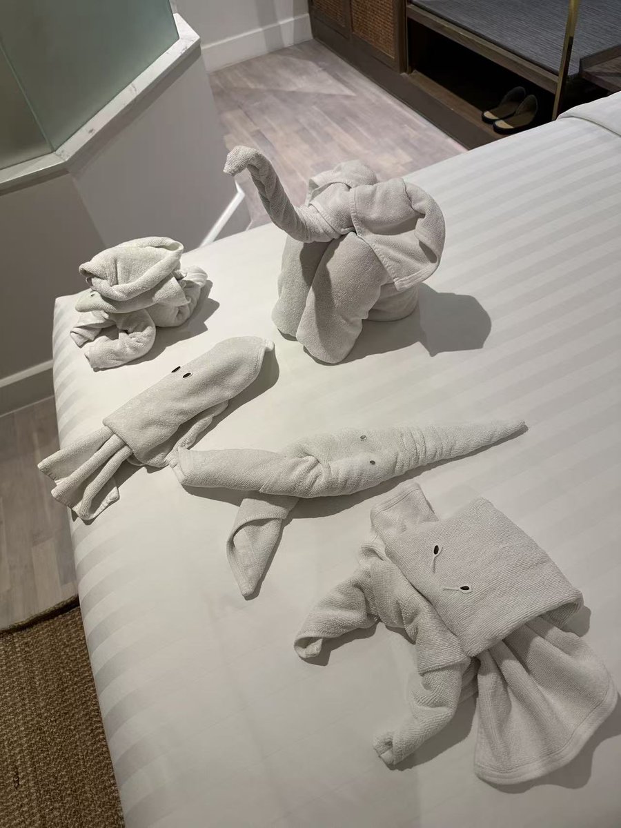 Tiffanyz0217's tweet photo. The hotel housekeeper folded this monkey for me after finding out I love monkey. No need to explain why I’m fond of monkey🙈🐒
#aangelinaass
#小猴子
#monkeyangel
#ChiangMai https://t.co/9CAHsiIJJ3