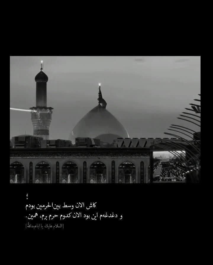 MamadAkela's tweet photo. کاش الان وسط بین‌الحرمین بودم...
و دغدغه‌م این بود
الان کدوم حرم برم،همین(:💔
#یا_لثارات_الحسین
#طلوع_اربعین https://t.co/19vu92ypBg