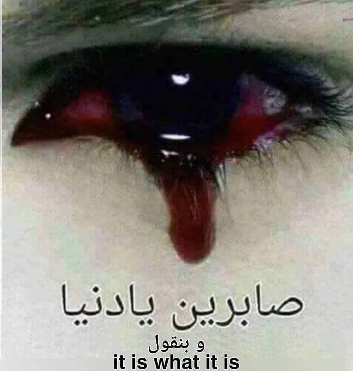 taahhaa_'s tweet photo. https://t.co/pWzUWnDqt5