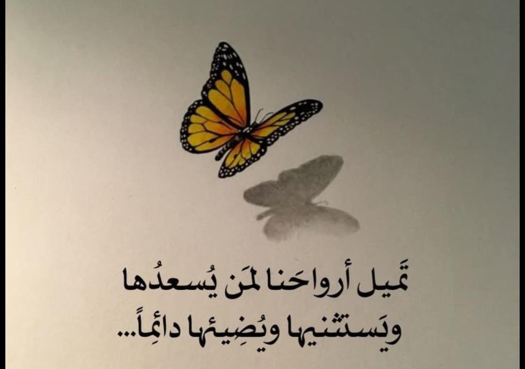 fafap0p's tweet photo. مسائكم ورد 🌹 https://t.co/yOEWk2KqIX