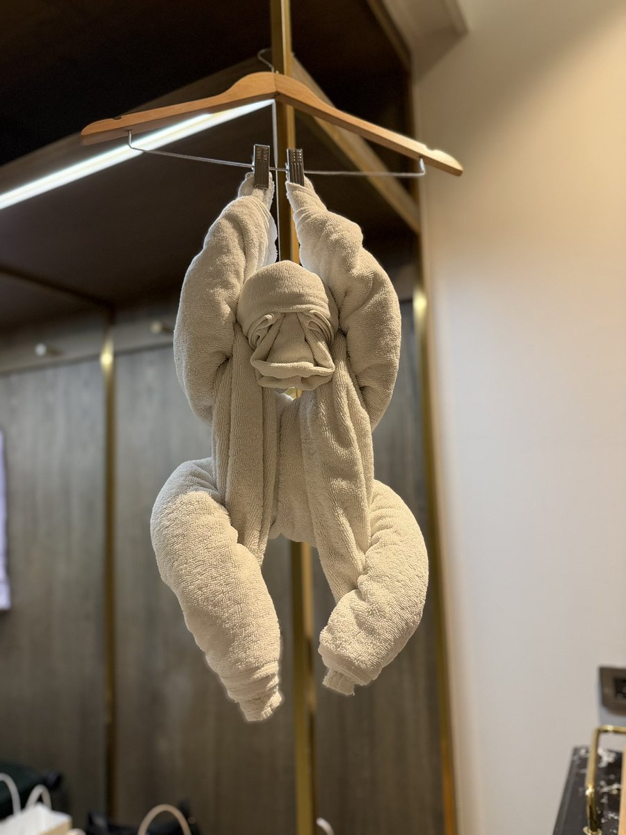Tiffanyz0217's tweet photo. The hotel housekeeper folded this monkey for me after finding out I love monkey. No need to explain why I’m fond of monkey🙈🐒
#aangelinaass
#小猴子
#monkeyangel
#ChiangMai https://t.co/9CAHsiIJJ3