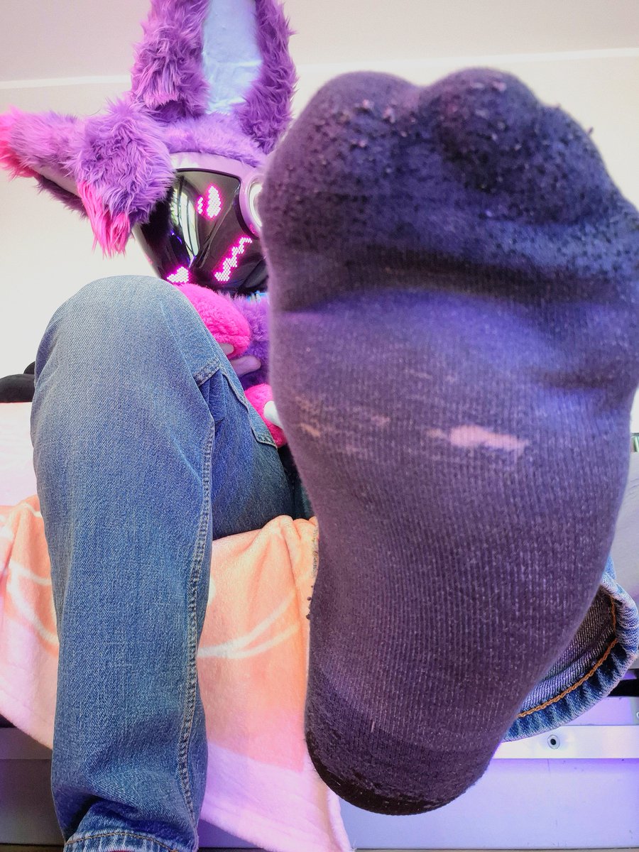 Mp3paws's tweet photo. Bad day for you to be around, bug 

>:3 https://t.co/byn5R1ijnC