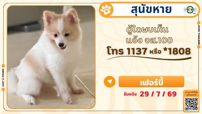 js100radio's tweet photo. สุนัขหายจากบ้านต.ห้วยกะปิ อ.เมือง จ.ชลบุรี ผู้ใดพบเห็นแจ้ง JS100 โทร *1808 หรือ 1137

รายละเอียดเพิ่มเติม : https://t.co/cdNmXNctDG

#สุนัขหาย #ตามหาสุนัขหาย #JS100 https://t.co/Uz4PZMznmU