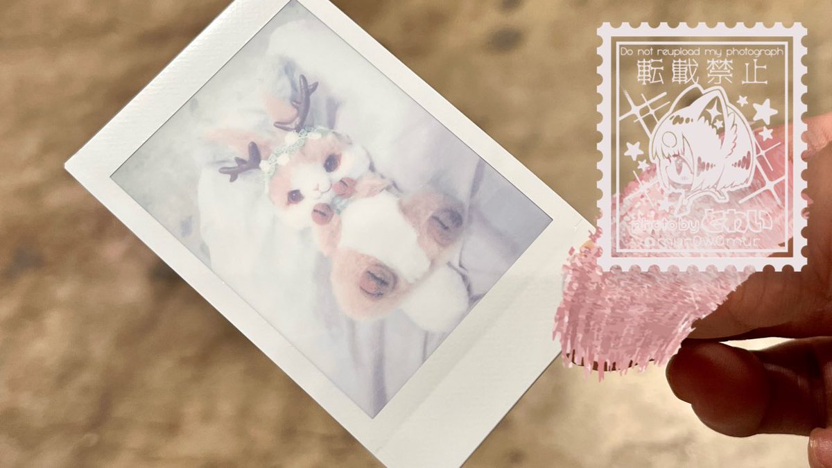 mur0w0mur's tweet photo. あと友達がその場でお迎えおめでと〜ってチェキ撮ってくれた❣️
日付と名前入れて大事にする…🥺
 #ミモザハイツ https://t.co/D2Nw8jVZ2y