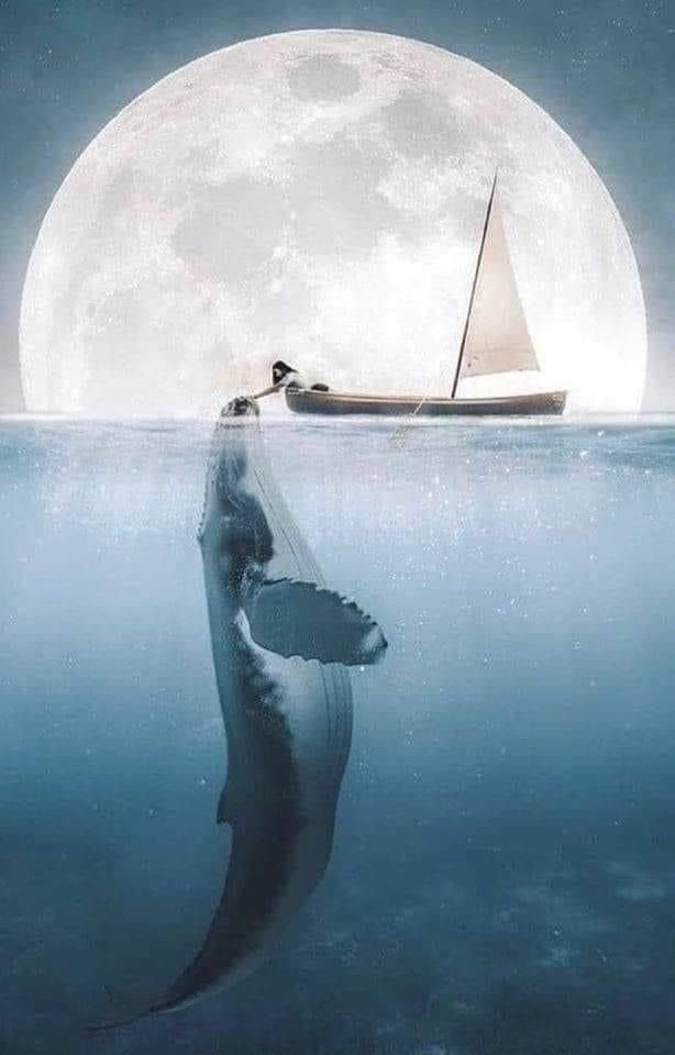 Gitana1369877's tweet photo. "For whatever we lose, it’s always ourselves we find in the quiet between two worlds.” https://t.co/7UGuu9oaXf