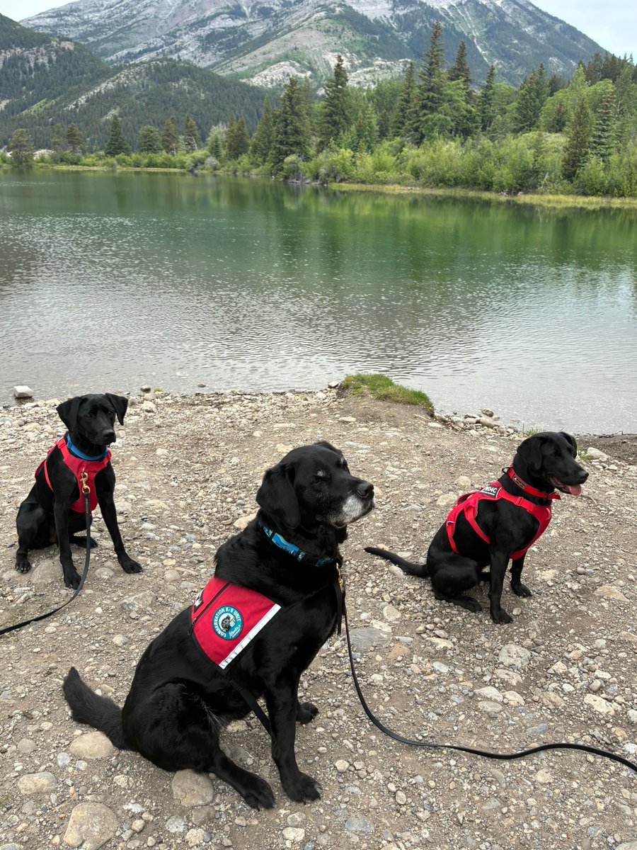 AB_Enviro's tweet photo. 🐾 More paws. More protection.

Alberta has expanded its Conservation K-9 Unit from 1 team to 3! Meet Jane and Winnie, joining Hilo as highly trained detection dogs working to keep Alberta waters mussel-free.

https://t.co/9vmXAzwWYm https://t.co/5bUn6KmOni