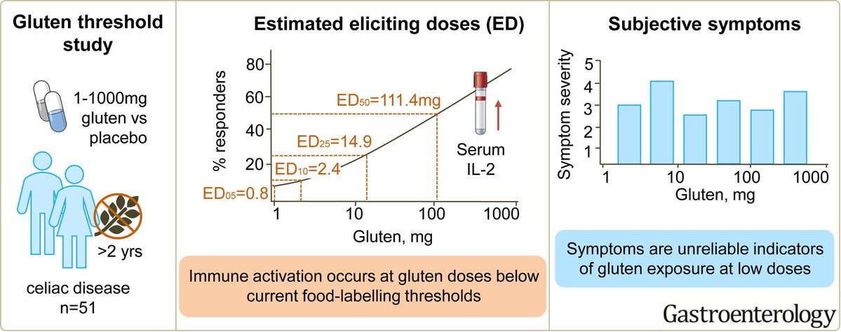 AGA_Gastro's tweet photo. 🌟 153 gluten and placebo challenges from 1000mg to 1mg were given to people with #CeliacDisease. Study found that an eliciting dose did not result in an immune response in 95% (ED5) of participants.
🔗 Read more at https://t.co/rS8p1TfkO1 https://t.co/ROeCgDfkzF