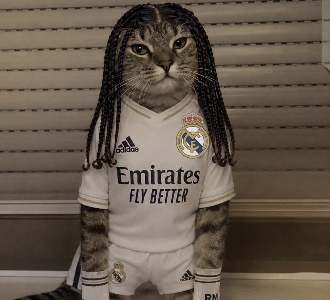 MADRlDISTAS's tweet photo. Novo estilo de cabelo do Cucurella, aprovado? https://t.co/rGpBC7UqOh