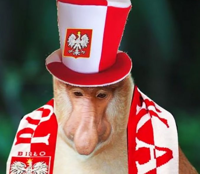 antyKremlak's tweet photo. Cały internet żyje przypadkami przemocy wobec ukraińskich nastolatek, pobiciem ukraińskiej kobiety kastetem czy bohaterską akcją pasażera pociągu, który stanął w obronie ofiar o innym pochodzeniu.

Widzieliście chociaż jeden komentarz takich ludzi jak Mentzen, Bosak czy Nawrocki? 

Wielcy katolicy i mężowie stanu, którzy wybrali milczenie - bo z siania nienawiści i podburzania społeczeństwa zrobili sposób na uprawianie polityki.

Przykre.