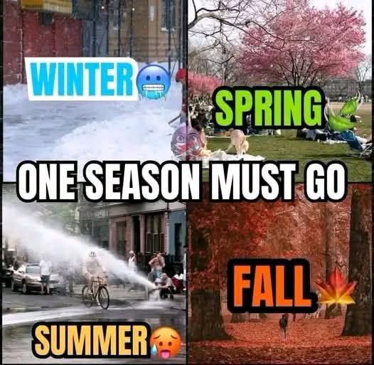 NosCalanGaeaf's tweet photo. ONE SEASON MUST GO!! https://t.co/PDTgrIKMwq
