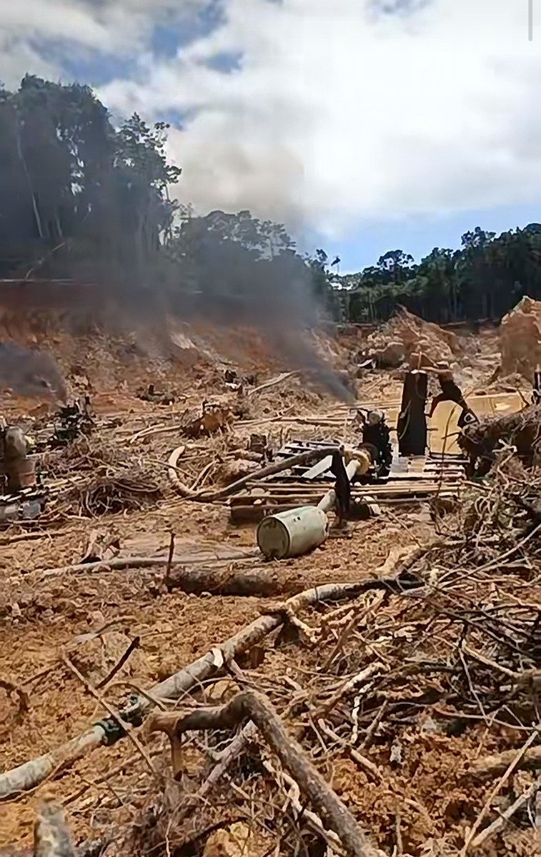 Fritz_A_Sanchez's tweet photo. #Atencion #Venezuela 

Lamentablemente avanza la destrucción d los bosques del sector Apoipo #GranSabana 

La degradación y perdida, no solo es d ecosistemas, también d culturas ancestrales q otrora respetaban su entorno natural 
#DevastacionAmbiental 
#AculturacionIndigena https://t.co/8ipu38krO8