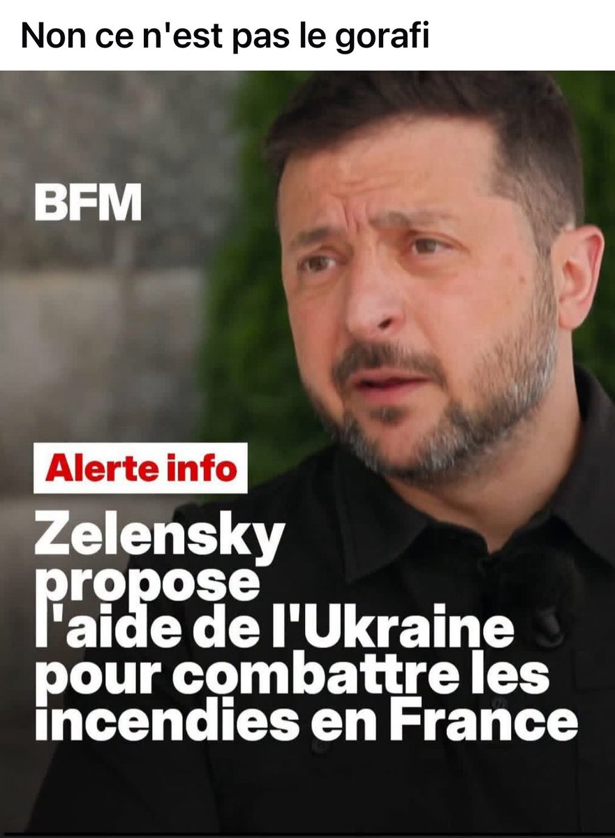 Elisa tweet media