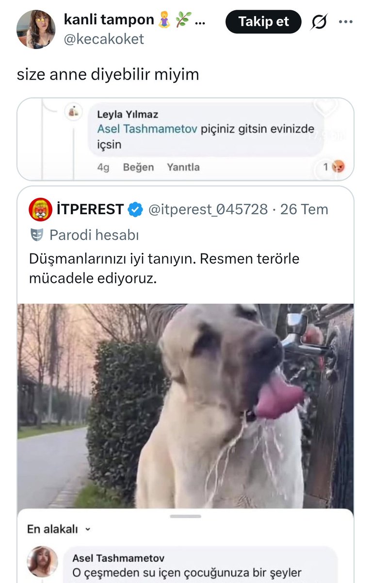 LibertGenclik's tweet photo. solcular sadece suçlu çocukların yanındadır, malesef en ufak abartı veya mecaz yok bu dediğimde https://t.co/MkNxyzCHO7