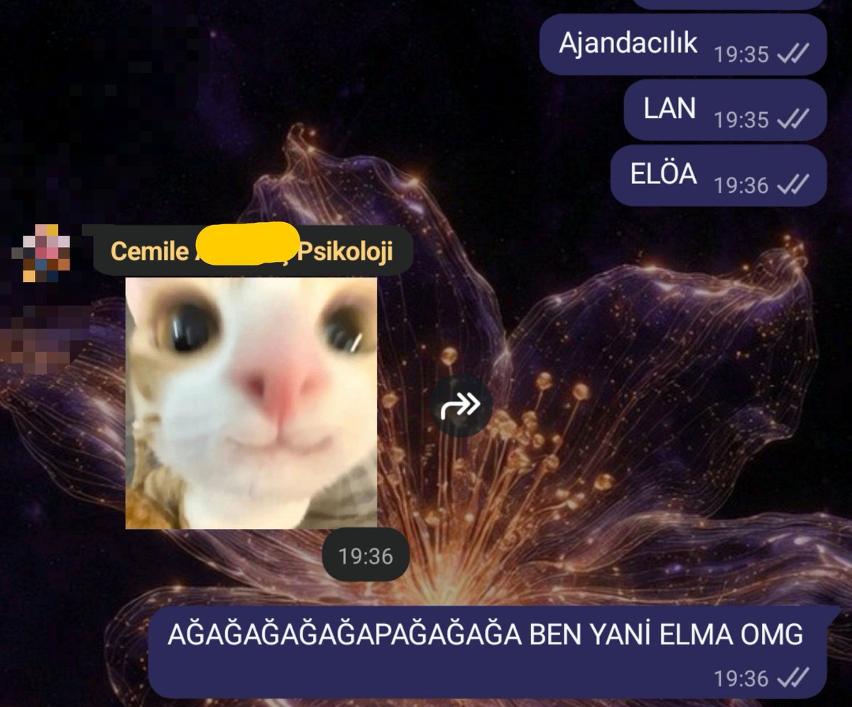 bysuheda's tweet photo. Bacım kitabında benden esinlenip ELMA AŞIĞI KARAKTER YAPACAKMIŞ kalkın dostlar keyiften ölen var https://t.co/6r1RyPwMbg