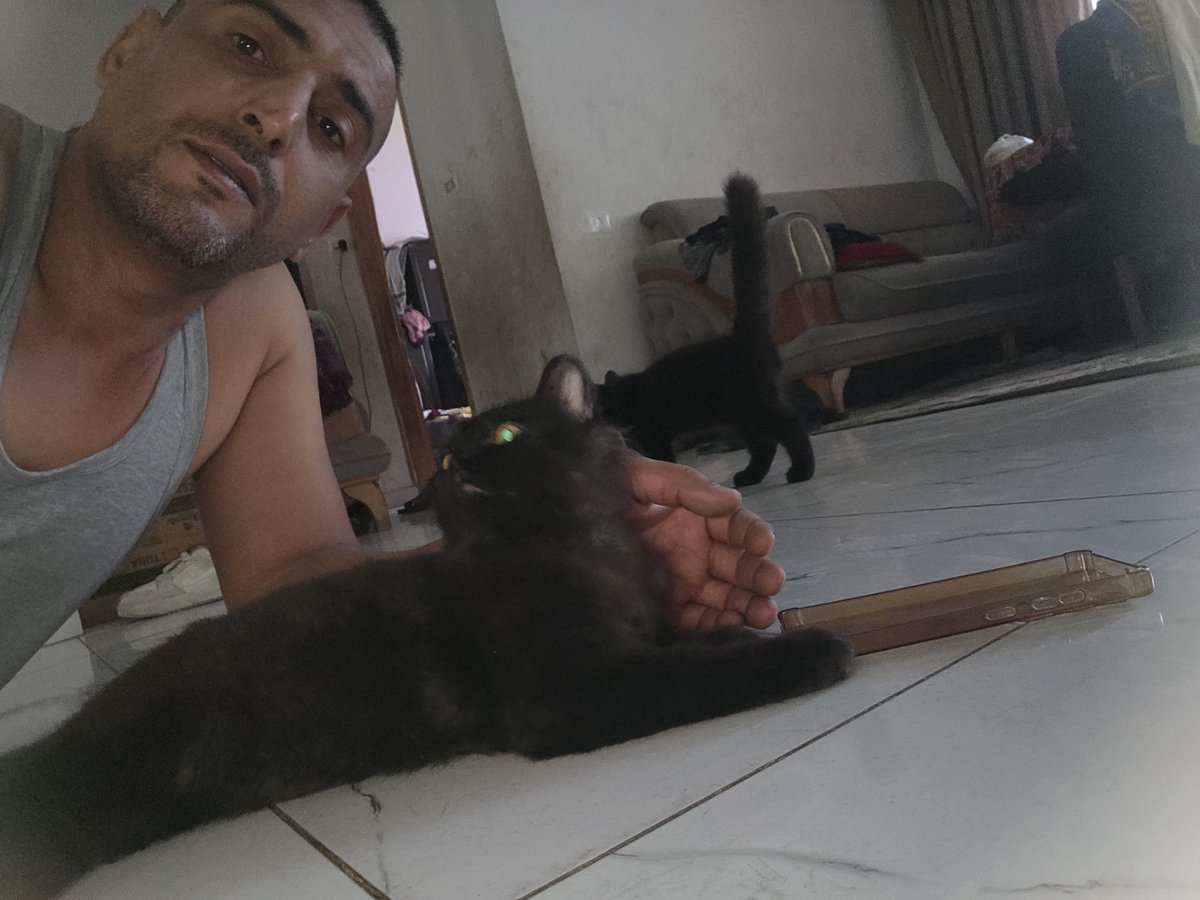 ♥️🇵🇸🇵🇸❤️A lover ♥️of homeless cats😻❤️🌱🌱👍🤗 tweet media